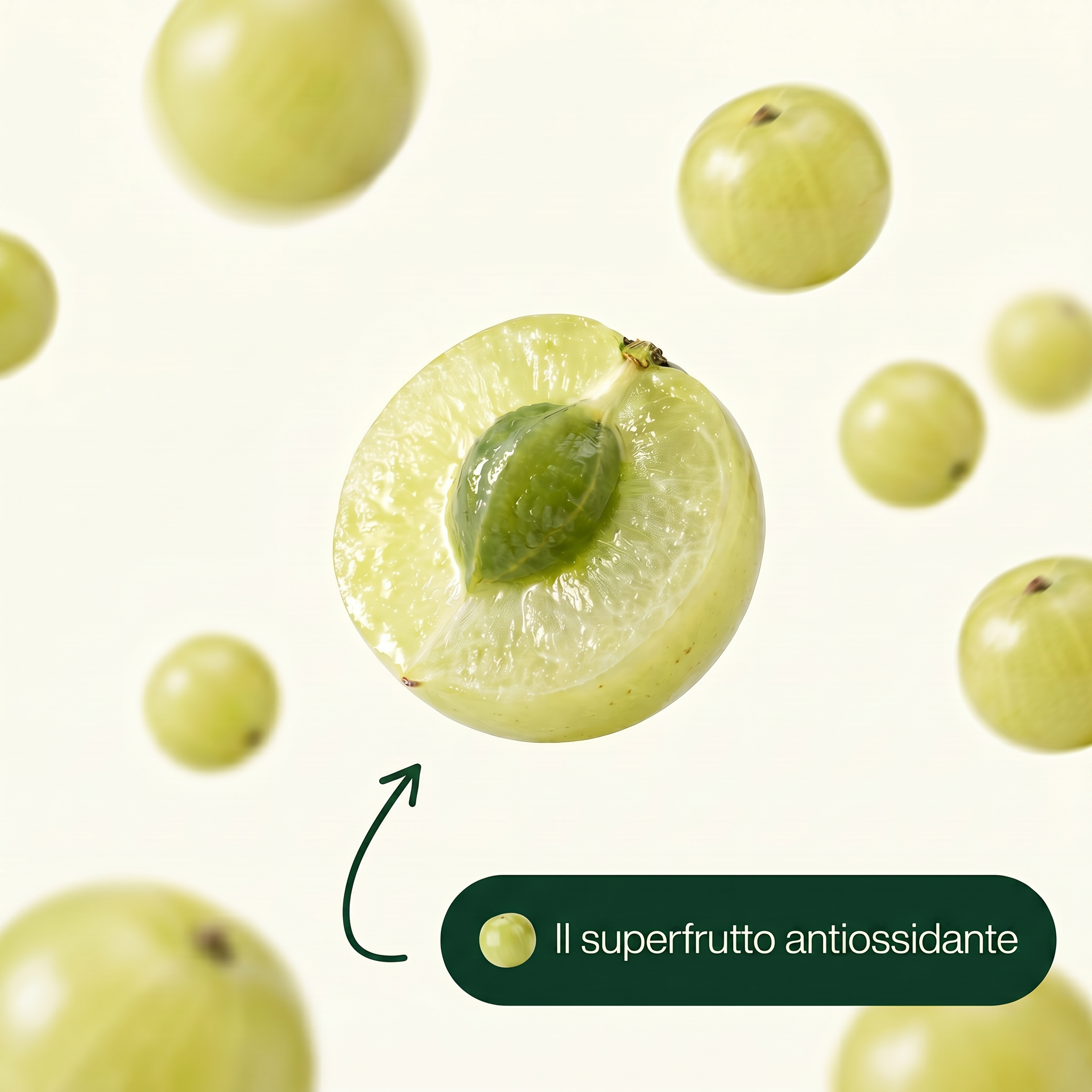 Amla - Antiossidante Naturale 1,000mg